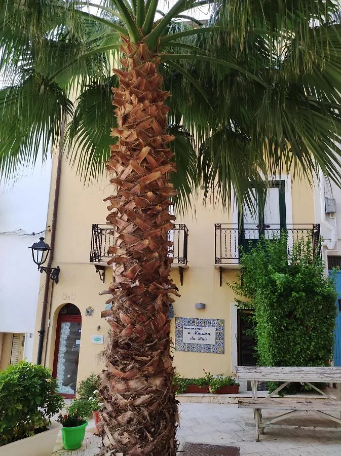 Appartamento La Palma Castellammare del Golfo Alloggio in famiglia